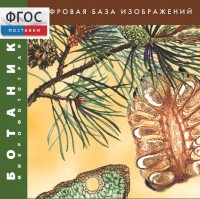 Ботаника. Микрофотографии. (Цифровая база изображений) - fgospostavki.ru - Асбест