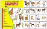 Демонстрационные карточки "Домашние животные" - fgospostavki.ru - Асбест