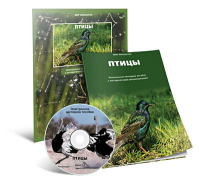 Электронное наглядное пособие «Птицы» - fgospostavki.ru - Асбест