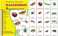 Демонстрационные карточки "Насекомые" - fgospostavki.ru - Асбест