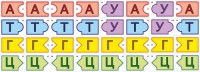 Модель-аппликация Удвоение ДНК и транскрипция РНК - fgospostavki.ru - Асбест