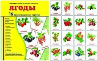 Демонстрационные карточки "Ягоды" - fgospostavki.ru - Асбест