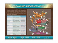 Интерактивный электрифицированный стенд "Эволюция животного мира" - fgospostavki.ru - Асбест