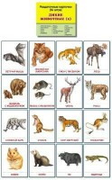 Раздаточные карточки "Дикие животные (2)" - fgospostavki.ru - Асбест