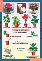 Комплект таблиц. Окружающий мир 1 класс. - fgospostavki.ru - Асбест