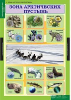 Комплект таблиц. Окружающий мир 4 класс. - fgospostavki.ru - Асбест