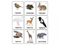 Набор магнитных карточек по музыке "Животные" (9 штук) - fgospostavki.ru - Асбест