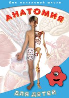 DVD "Анатомия для детей" - fgospostavki.ru - Асбест