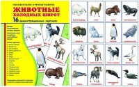 Демонстрационные карточки "Животные холодных широт" - fgospostavki.ru - Асбест