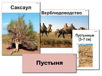Модель-аппликация "Природные зоны России" (ламинированная) - fgospostavki.ru - Асбест