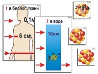 Модель-аппликация "Явление радиоактивности" (ламинированная) - fgospostavki.ru - Асбест