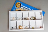 Коллекция "Раковины моллюсков" - fgospostavki.ru - Асбест