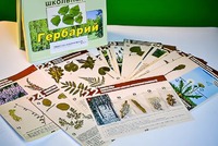 Гербарий к курсу основ общей биологии - fgospostavki.ru - Асбест