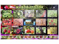 Комплект оборудования "Живой уголок" (растения) с тифлопереводом и сурдокомментариями - fgospostavki.ru - Асбест