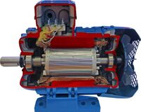 Учебная модель «Электродвигатель асинхронный в разрезе» - fgospostavki.ru - Асбест