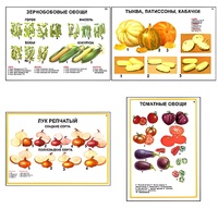 Плакаты ПРОФТЕХ "Ассортимент овощных культур" (12 пл, винил, 70х100) - fgospostavki.ru - Асбест