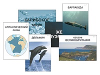 Модель-аппликация "Океаны. Знакомство" (ламинированная) - fgospostavki.ru - Асбест