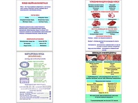 Плакаты ПРОФТЕХ "Классификации и виды мяса" (4 пл, винил, 70х100) - fgospostavki.ru - Асбест