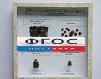 Коллекция энтомологическая "Примеры защитных приспособлений у насекомых" - fgospostavki.ru - Асбест