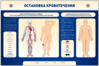 Электрифицированный стенд-тренажер "Остановка кровотечения" - fgospostavki.ru - Асбест