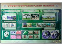 Электрифицированный стенд "Уровни организации жизни" - fgospostavki.ru - Асбест