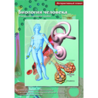 Интерактивные плакаты. Биология человека. Программно-методический комплекс - fgospostavki.ru - Асбест