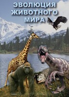 DVD "Эволюция животного мира" - fgospostavki.ru - Асбест