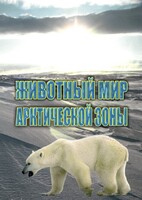 DVD "Животный мир Арктической зоны" - fgospostavki.ru - Асбест