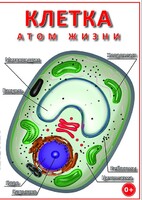DVD "Клетка - "атом жизни" - fgospostavki.ru - Асбест