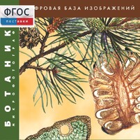 Ботаника. Микрофотографии. (Цифровая база изображений) - fgospostavki.ru - Асбест