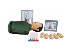 "Максим III" тренажер сердечно-легочной и мозговой реанимации - fgospostavki.ru - Асбест