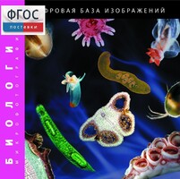Биология. Микрофотографии. (Цифровая база изображений) - fgospostavki.ru - Асбест