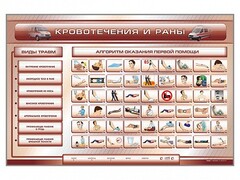 Трехсекционный базовый комплект "Травмы. Кровотечения. Ожоги" для учащихся общеобразовательных учреждений - fgospostavki.ru - Асбест