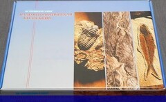 Коллекция "Палеонтологическая" (16 образцов) - fgospostavki.ru - Асбест
