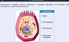 Интерактивные курсы. Биология 8 класс. Базовый - fgospostavki.ru - Асбест