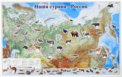 Магнитные карточки "Животные" - fgospostavki.ru - Асбест