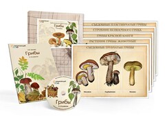 Комбинированное наглядное пособие  «Грибы» - fgospostavki.ru - Асбест