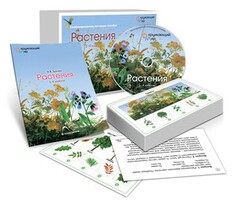 Комбинированное наглядное пособие «Растения» - fgospostavki.ru - Асбест