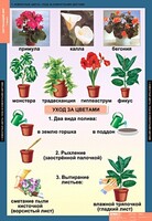 Комплект таблиц. Окружающий мир 1 класс. - fgospostavki.ru - Асбест