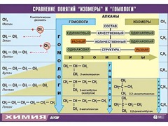Таблица демонстрационная "Сравнение понятий изомер и гомолог" (винил 70x100) - fgospostavki.ru - Асбест