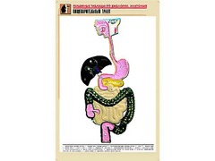 Рельефная таблица "Пищеварительный тракт" (формат А1, матовое ламинирование) - fgospostavki.ru - Асбест