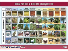 Таблица демонстрационная "Почвы, растения и животные природных зон" (винил 70*100) - fgospostavki.ru - Асбест
