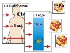 Модель-аппликация "Явление радиоактивности" (ламинированная) - fgospostavki.ru - Асбест