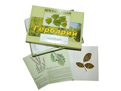 Гербарий "Дикорастущие растения" (30 видов, с иллюстрациями) - fgospostavki.ru - Асбест