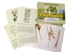 Гербарий "Систематика растений. Семейство Бобовые. Злаки" (раздаточный) - fgospostavki.ru - Асбест