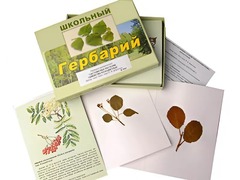 Гербарий "Систематика растений. Семейство Розоцветные" (раздаточный) - fgospostavki.ru - Асбест