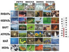 Фенологические наблюдения - fgospostavki.ru - Асбест