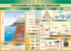 Таблица "Организмы и среды их обитания" (100х140 сантиметров, винил) - fgospostavki.ru - Асбест