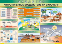 Таблица "Антропогенное воздействие на биосферу" (100х140 сантиметров, винил) - fgospostavki.ru - Асбест