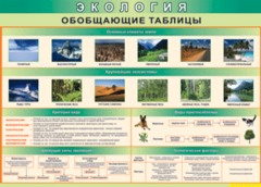 Таблица "Экология. Обобщающие таблицы" (100х140 сантиметров, винил) - fgospostavki.ru - Асбест